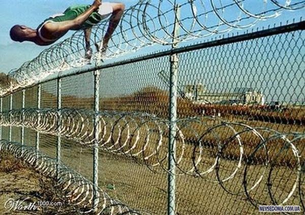 Прикольные картинки (179 фото)