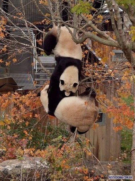 Прикольные картинки (179 фото)