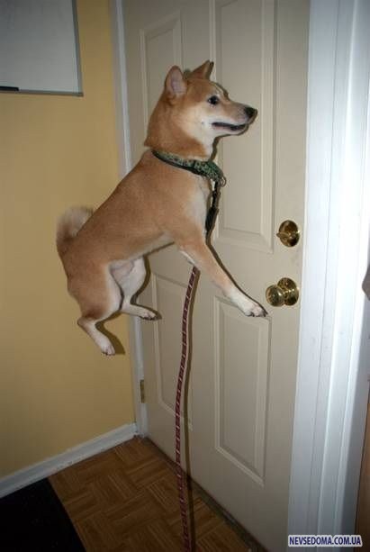 Прикольные картинки (168 фото)