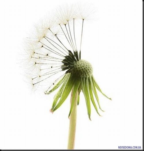 Прикольные картинки (168 фото)