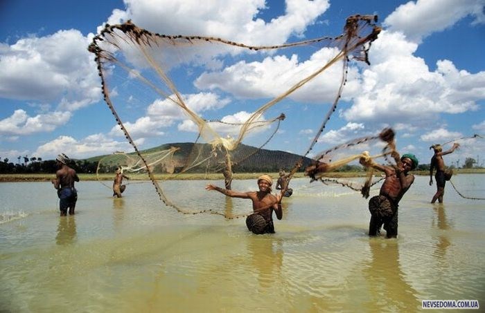 Прикольные картинки (168 фото)