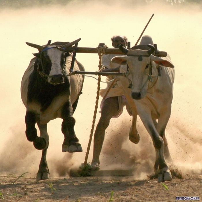 Прикольные картинки (168 фото)