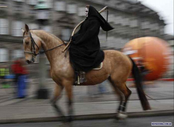 Прикольные картинки (168 фото)