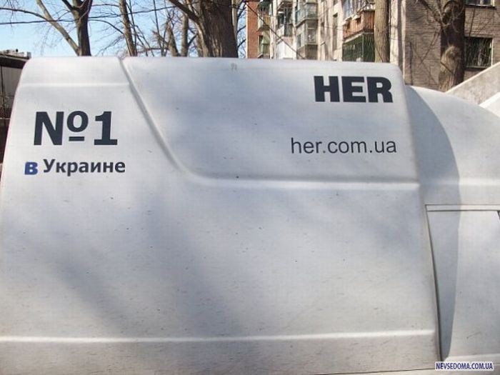 Прикольные картинки