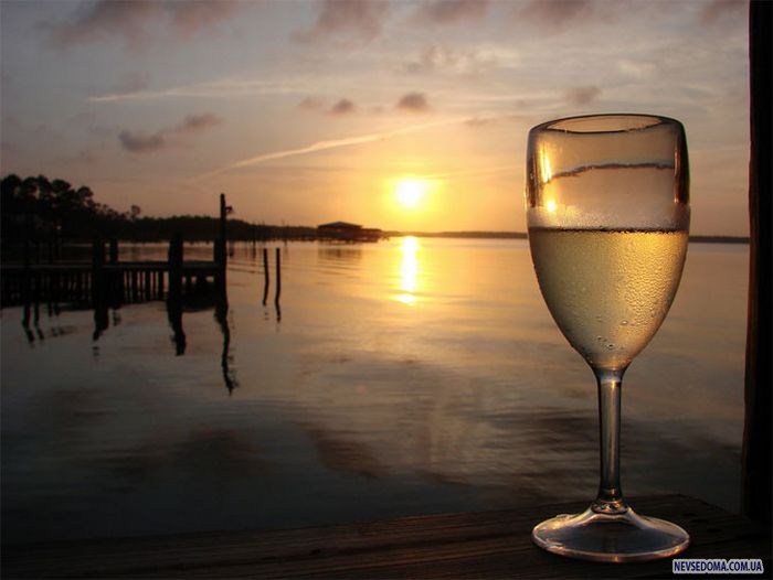 Прикольные картинки