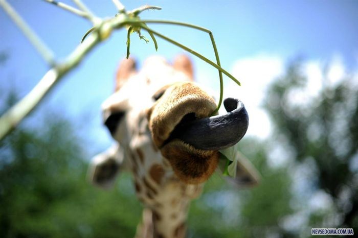 Прикольные картинки