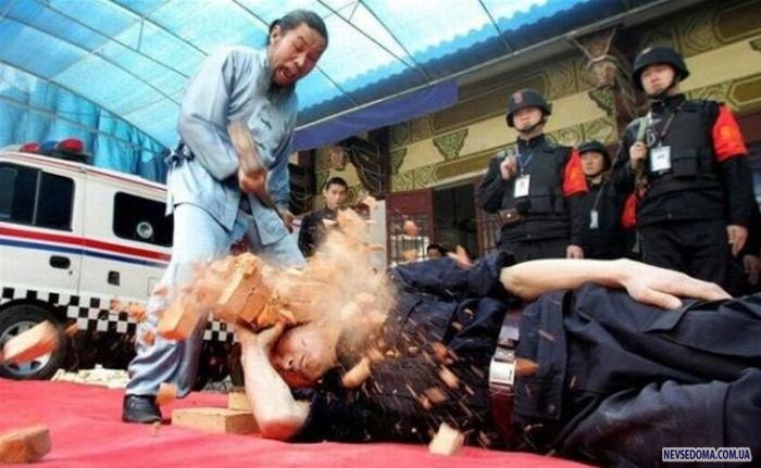 Прикольные картинки