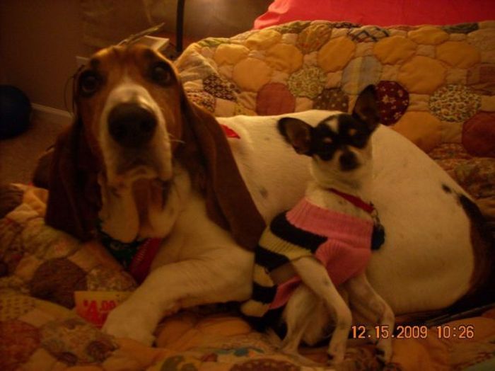 Прикольные картинки