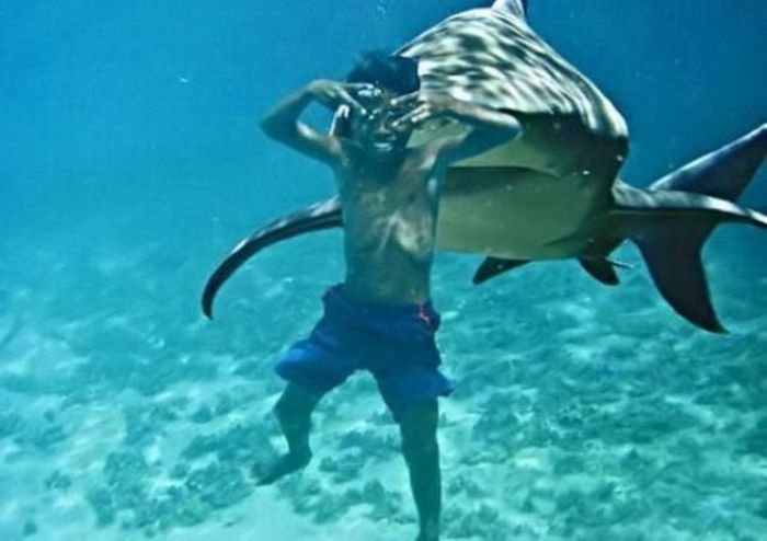 Прикольные картинки