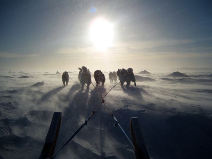 Прикольные картинки (94 фото)