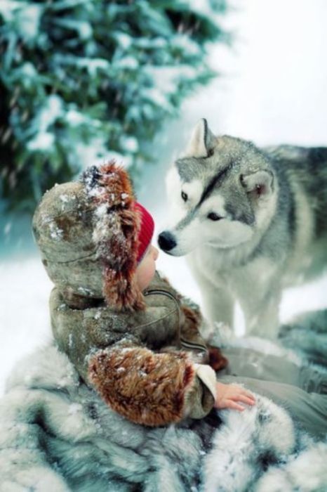 Прикольные картинки (94 фото)