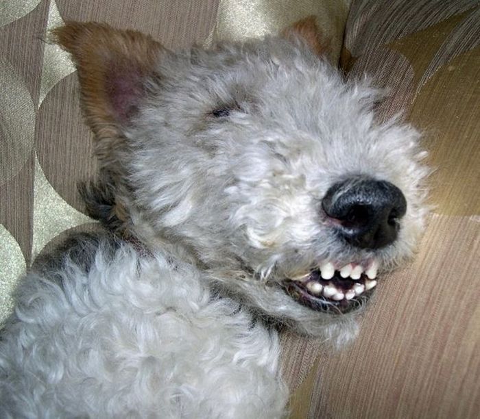 Прикольные картинки (94 фото)