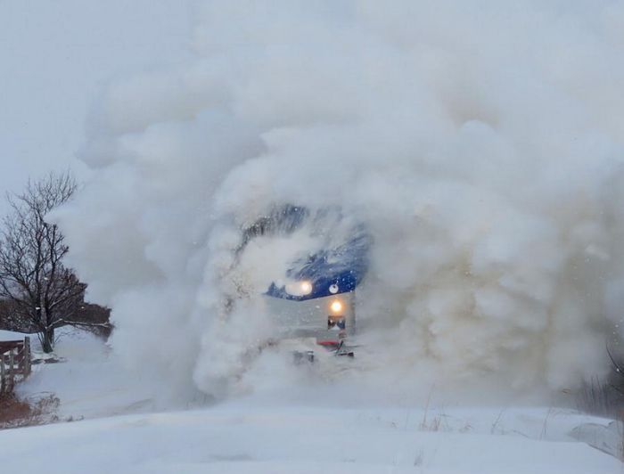 Прикольные картинки (94 фото)