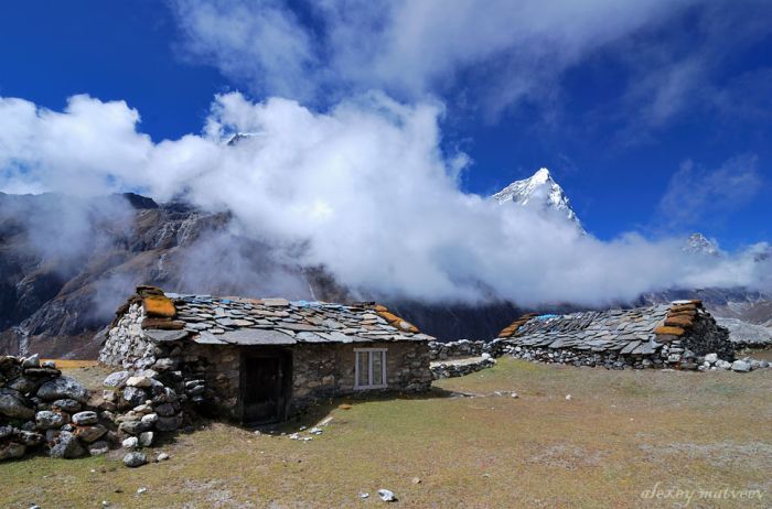 Прикольные картинки (94 фото)