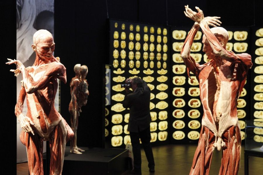 Фламенко из Андалузии (32 фотографии), photo:7