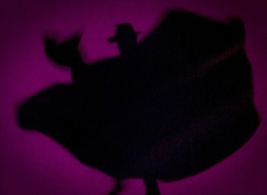 Фламенко из Андалузии (32 фотографии), photo:8