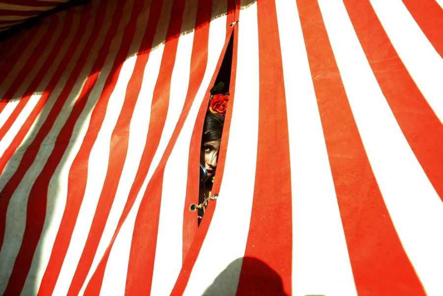 Фламенко из Андалузии (32 фотографии), photo:17