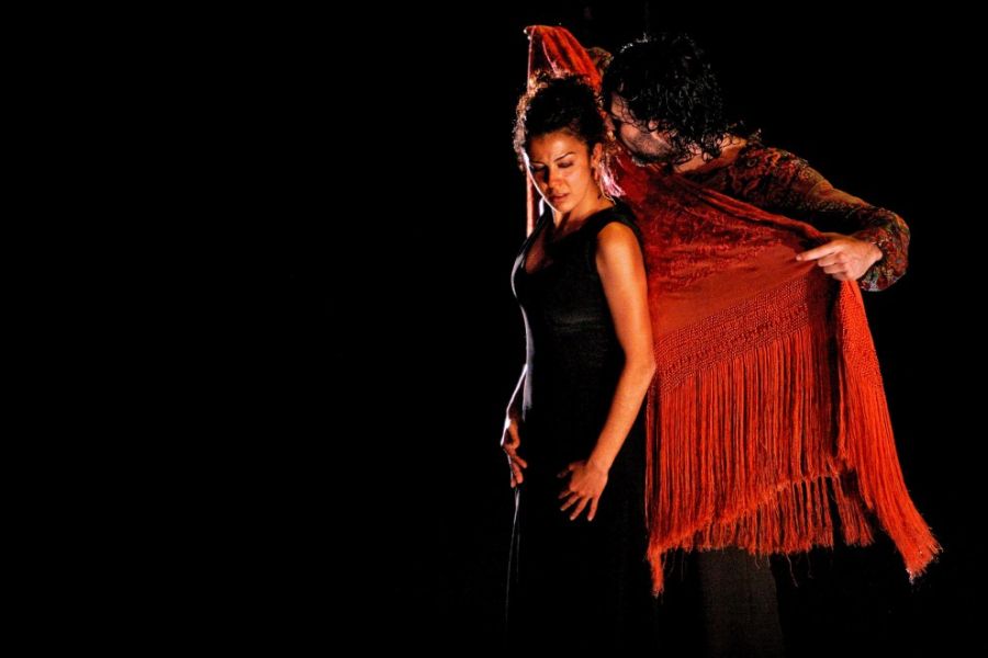 Фламенко из Андалузии (32 фотографии), photo:32