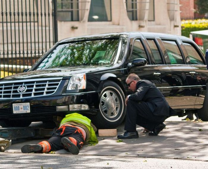 Прикольные картинки (95 фото)