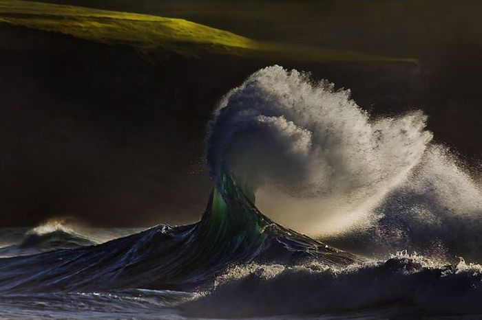 Прикольные картинки (95 фото)