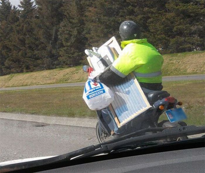 Прикольные картинки (102 фото)