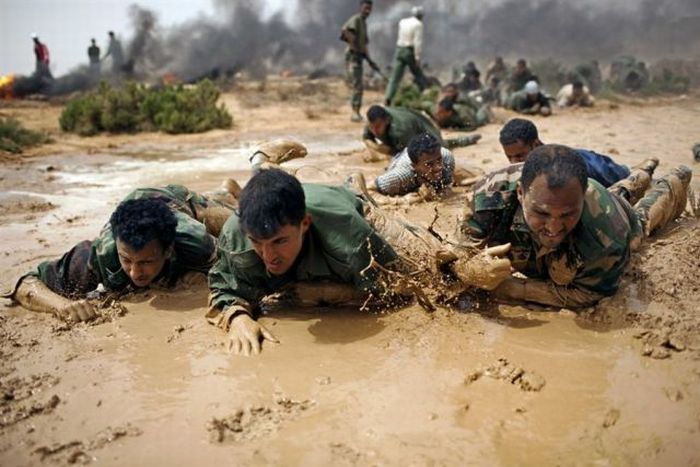 Прикольные картинки (102 фото)