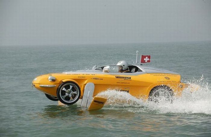 Прикольные картинки (102 фото)