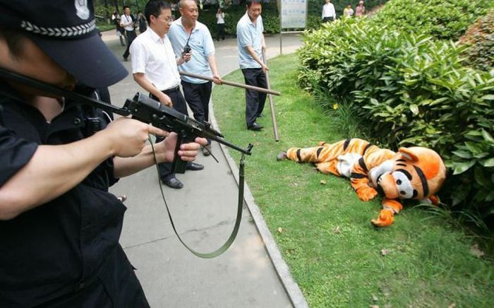 Прикольные картинки (102 фото)