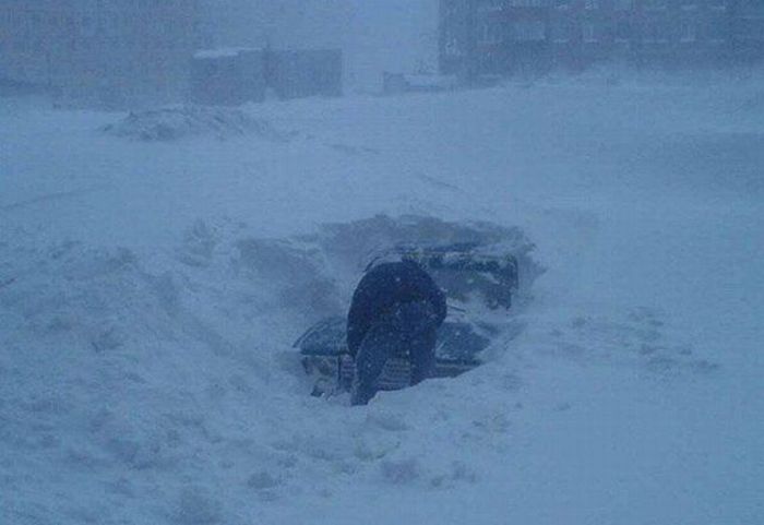 Прикольные картинки (102 фото)