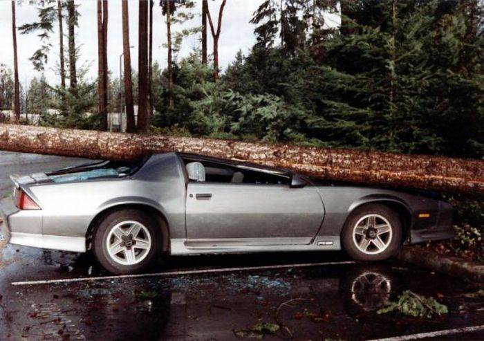 Прикольные картинки (102 фото)