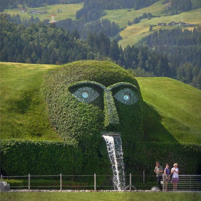 Прикольные картинки (102 фото)