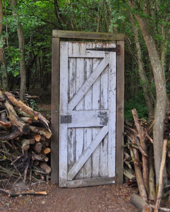 Прикольные картинки (102 фото)