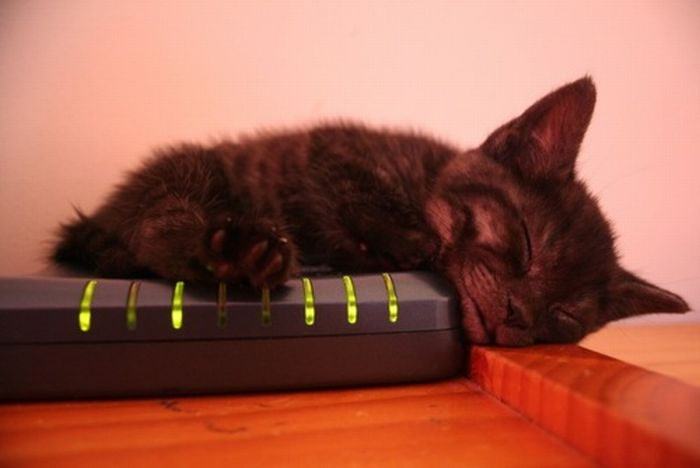 Прикольные картинки (102 фото)