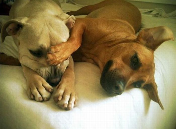 Прикольные картинки (102 фото)