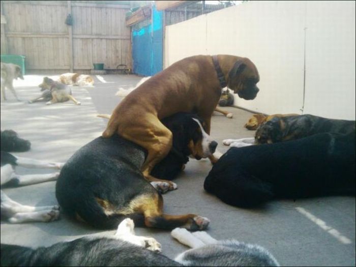 Прикольные картинки (102 фото)