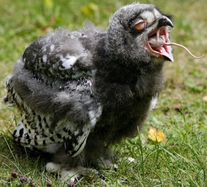 Прикольные картинки (135 фото)