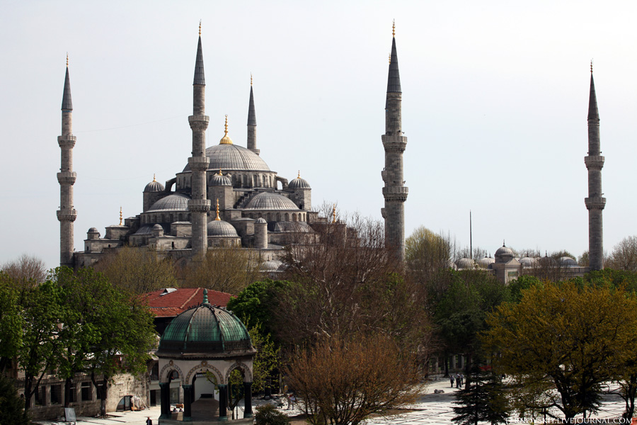 Мечеть фатиха в стамбуле. Мечеть в Турции Стамбул. Мечеть Султана Ахмета. Мечеть Султанахмет шпиль.