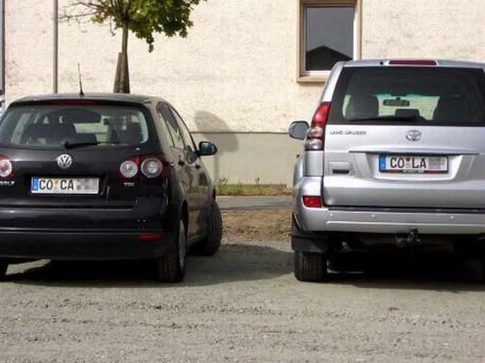 Прикольные картинки