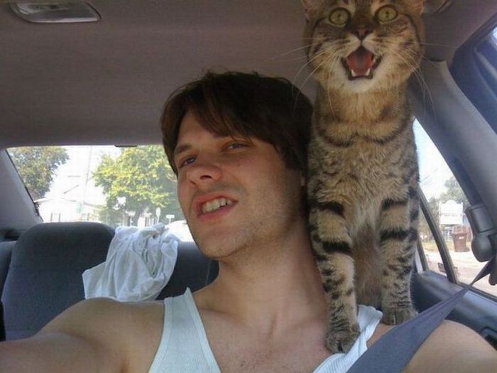 Прикольные картинки