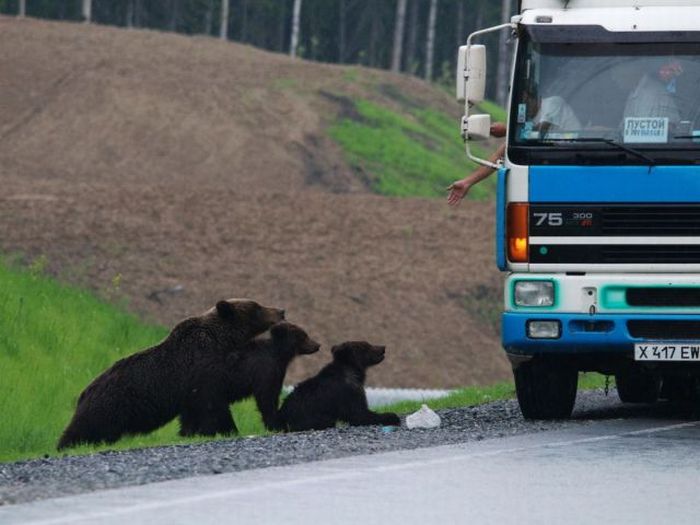 Прикольные картинки (113 фото)