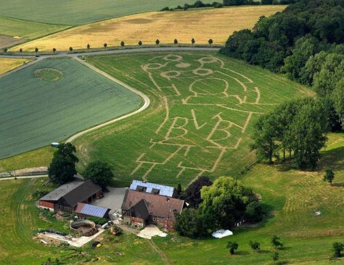 Прикольные картинки (113 фото)