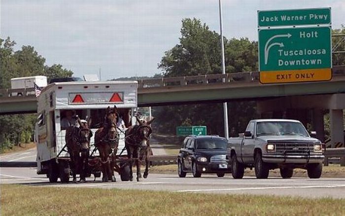 Прикольные картинки (113 фото)