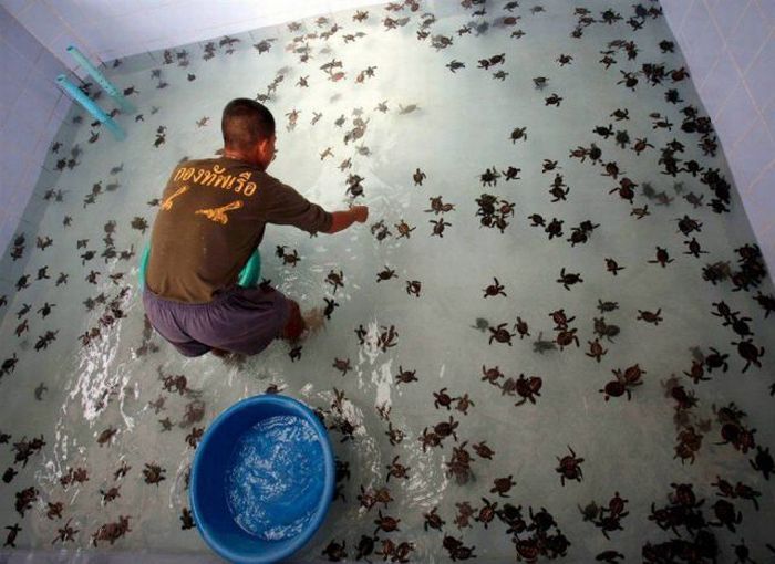 Прикольные картинки (113 фото)