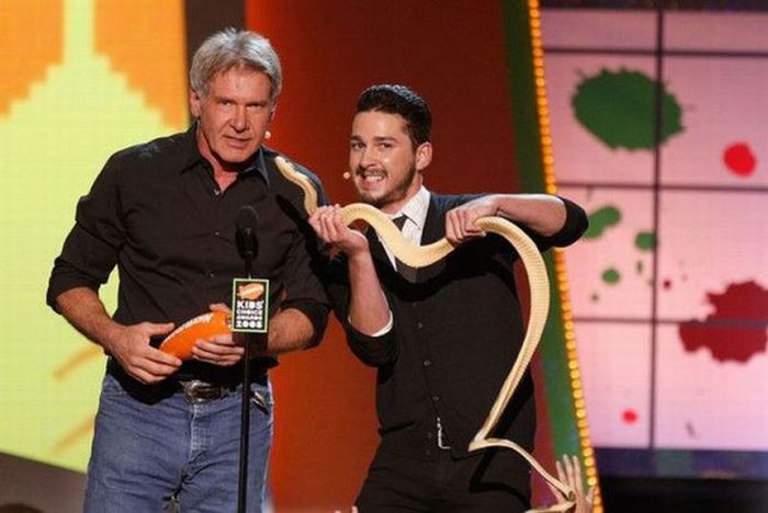 Прикольные картинки (113 фото)