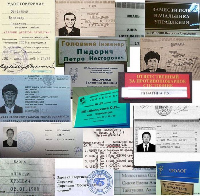 Прикольные картинки (113 фото)