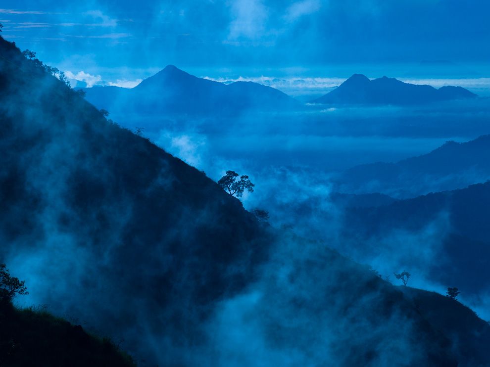 Лучшие фотографии National Geographic за июнь