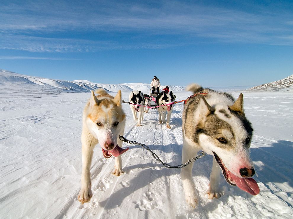 Лучшие фотографии National Geographic за июнь