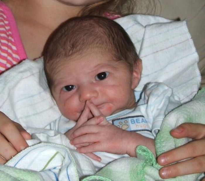 Прикольные картинки (84 фото)