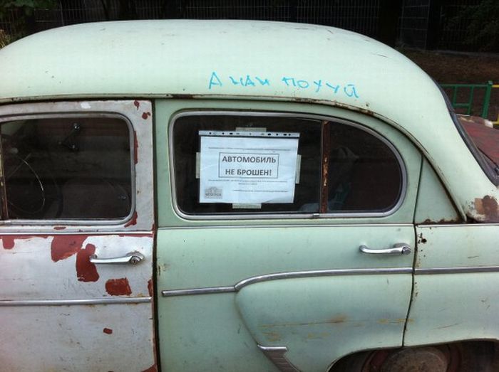 Прикольные картинки (84 фото)