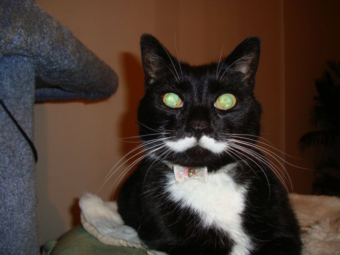 Прикольные картинки (84 фото)